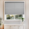 Chicology Light Filtering Vinyl Mini Curtain Blind - 2 of 4