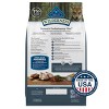Blue Buffalo Wilderness High Protein Natural Puppy Dry Dog Food plus Wholesome Grains with Chicken - 24lbs - 2 of 4