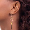 Chisel Stainless Steel Polished Black, Rose and Yellow IP-plated Dangle Earrings Shepherd Hook - 3 of 4