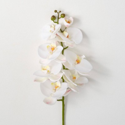 Sullivans 38.5" Phalaenopsis Stem, White