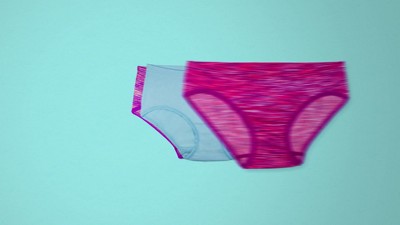 Fruit of the Loom Girls' Seamless Underwear Multipack – sandstormusa