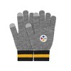 NFL Pittsburgh Steelers Gray Big Logo Glove - 3 of 4