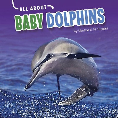 All about Baby Dolphins - (Oh Baby!) by  Martha E H Rustad (Hardcover)