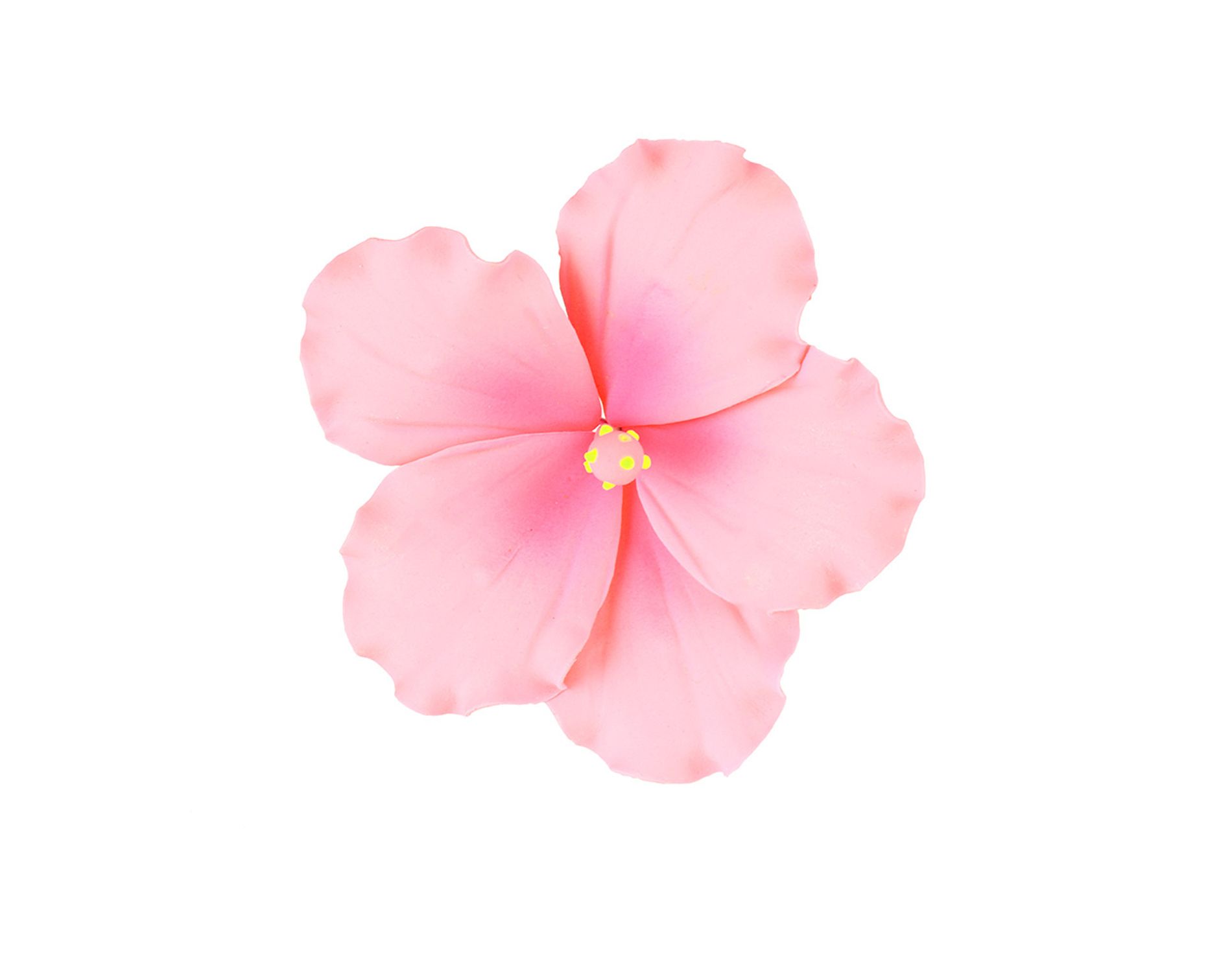 O'Creme Pink Hibiscus Gumpaste Flower, Set of 3
