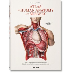 Bourgery. Atlas of Human Anatomy and Surgery - by  Henri Sick & Jean-Marie Le Minor (Hardcover) - 1 of 1