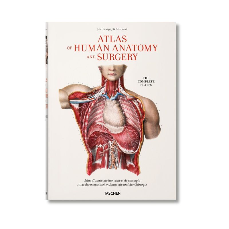 Bourgery. Atlas of Human Anatomy and Surgery - by  Henri Sick & Jean-Marie Le Minor (Hardcover), 1 of 2