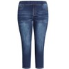 Avenue Women's Plus Size Petite Hi Rise Straight Jegging - 4 of 4