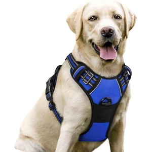 rabbitgoo Dog Harness No Pull with 2 Leash Clips, Control Handle for Large Dogs, Dazzling Blue, L - 1 of 1