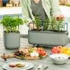 Vego Garden Twin Pack Self-Watering Herb Planter Box with Trellis Rectangular Indoor Outdoor Planter Pots 7.3"x17.5"x10.5" - 4 of 4