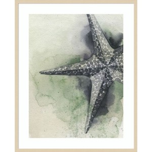 Amanti Art Found Starfish II by Grace Popp Wood Framed Wall Art Print - 1 of 4