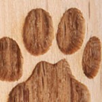 paw print