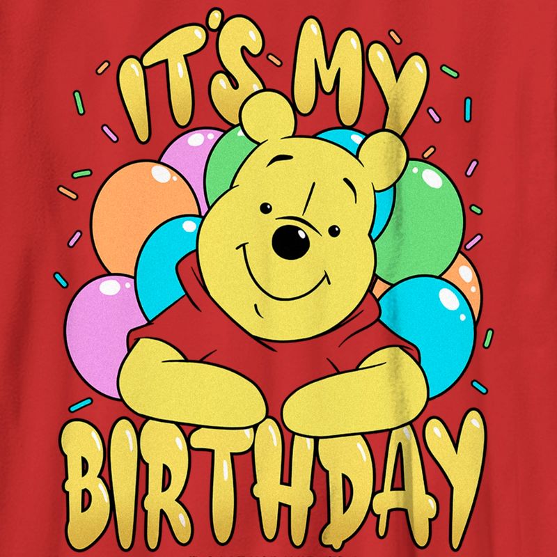 Boy's Winnie the Pooh It's My Birthday T-Shirt, 2 of 5