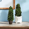 Plum & Post Boxwood Cone Topiary Drop-In 12" - 4 of 4