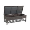 NicBex Storage Bench with Metal Frame PE Wicker for Bedroom and Entryway - 3 of 4
