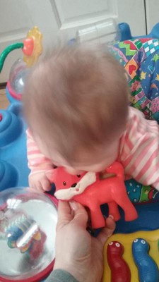 infantino fox teether