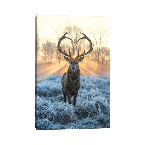 Love You Deer Fire and Ice by Max Ellis Unframed Wall Canvas - iCanvas - image 1 of 4