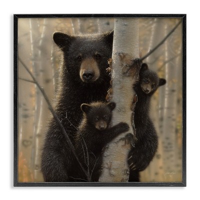 Stupell Industries Forest Black Bear and Cubs, 17" x 17"