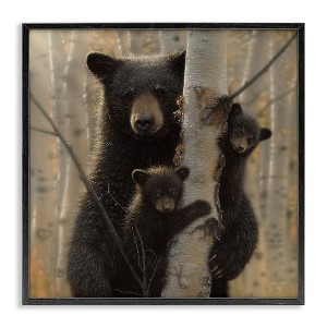 Stupell Industries Forest Black Bear and Cubs, 17" x 17" - 1 of 4