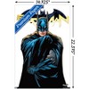 Trends International DC Comics - Batman Feature Series Unframed Wall Poster Prints - 3 of 4