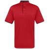 Men's Short Sleeve Henley Polo Shirt with Contrast-Trim - 2 of 4