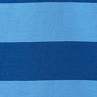 chicory blue/midnight blue