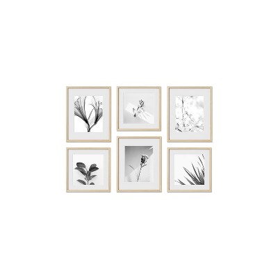 Haus and Hues Chelsea Gallery Wall Frame Set with Real Glass and Mat