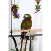 Prevue Pet Products 3180BLK Black Hammertone Metal Parrot Playstand, Large, 30 Inch Length x 22 Inch Width x 73-1/2 Inch Height. - 4 of 4