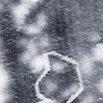 gray tone-colorful rhythm