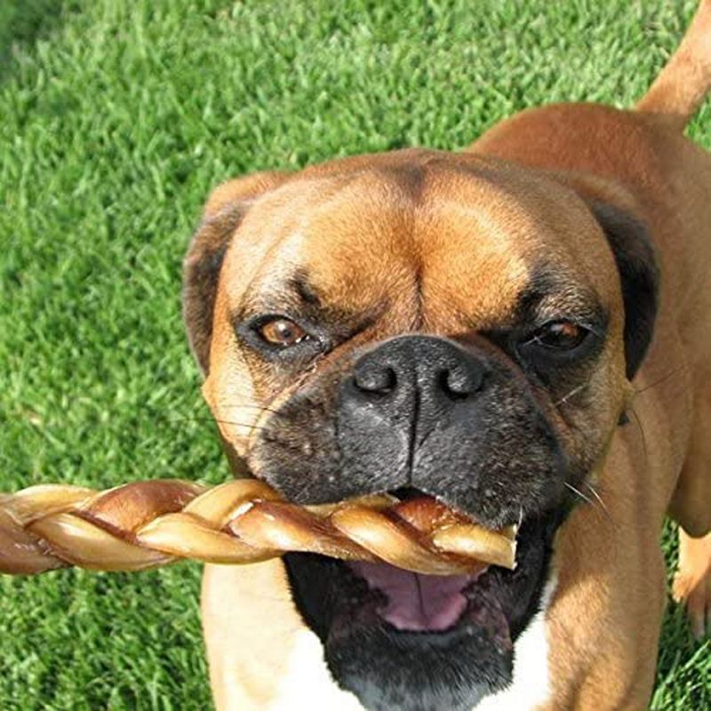 Pawstruck Natural 5" Braided Bully Sticks for Dogs - Grain-Free Rawhide-Free Single Ingredient Chew Treat Supports Dental Health, 4 of 6