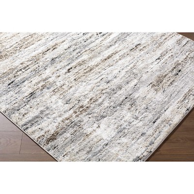 Hauteloom Aurera Living Room, Bedroom Area Rug - Contemporary - High Pile