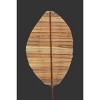 Natural Hogla Leaf Stem – 52" Teardrop Decorative Dried Botanical Accent By Kalalou - 3 of 3