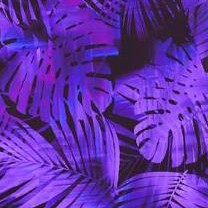 purple feather print