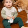 Pavilion Gift Company - The Dog - 3.5" Silicone Snack Bowl with Lid - Dining Bowls - 3 of 4