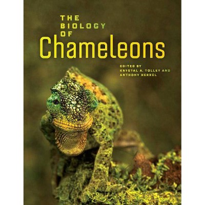 The Biology of Chameleons - by  Krystal A Tolley & Anthony Herrel (Hardcover)