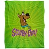 Scooby Doo Burst Silky 50X60 Blanket, 1 Sided - 2 of 4