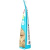 Bob's Red Mill Grain Free Flatbread Mix - Case of 5/7.05 oz - 4 of 4