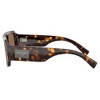 Dolce & Gabbana DG 4482 502/73 Unisex Pilot Sunglasses Havana 57mm - 3 of 3