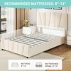 Whizmax Twin Size Bed Frame with Adjustable Headboard and 2 Storage Drawers, Velvet Upholstered Tufted Platform Bed Frames with Wooden Slats Support - 4 of 4