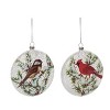Transpac Glass 5.5 in. Multicolored Christmas Painted Winter Bird Ornament Set of 2 - 2 of 4
