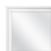 13.5 X 49.5 Framed Door Mirror - Room Essentials™ : Target