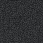 new england patriots