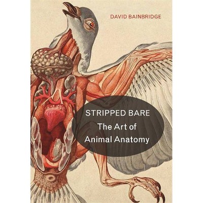 Stripped Bare - by  David Bainbridge (Hardcover)