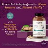 Ladybug Potion No3 Positive Vibes Ashwagandha Capsules, 60 Count - 3 of 4