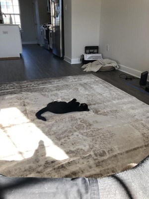 Guest review image 1 of 2, zoom in