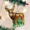 Old World Christmas Glass Blown Ornament, Whitetail Deer - 2 of 2