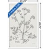 Trends International Jean Plout - Botanical Studies on Paper Parsley Framed Wall Poster Prints - 3 of 4