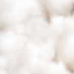 white, black