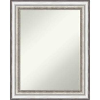 23" x 29" Non-Beveled Salon Silver Wall Mirror - Amanti Art