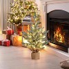 TackView 24''Artificial Christmas Tree, Table Top Tree Mini Frosted Pine Tree for Home Table Office Decorations - 2 of 4