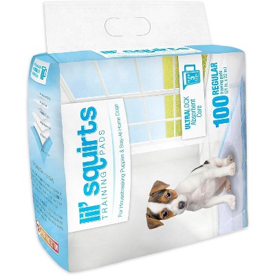 Extra Large Ultra Absorbent Puppy Training Pads